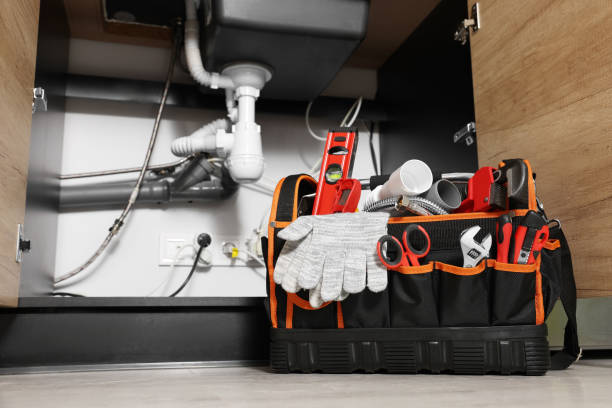 Best Commercial Plumbing Services  in Lake Andes, SD