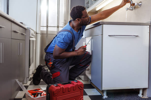 Best Plumbing Inspection Services  in Lake Andes, SD